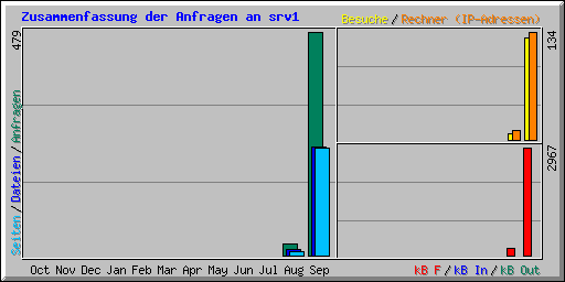 Zusammenfassung der Anfragen an srv1